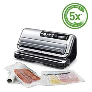 Food Saver FFS006X-01 termoselladora