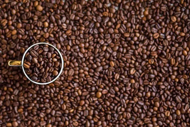 cafe envasadora al vacío