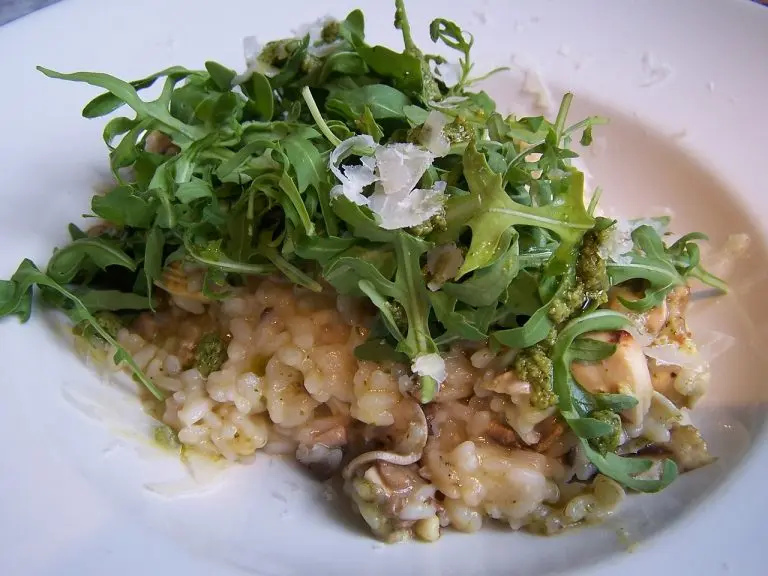 risotto mejores robot de cocina