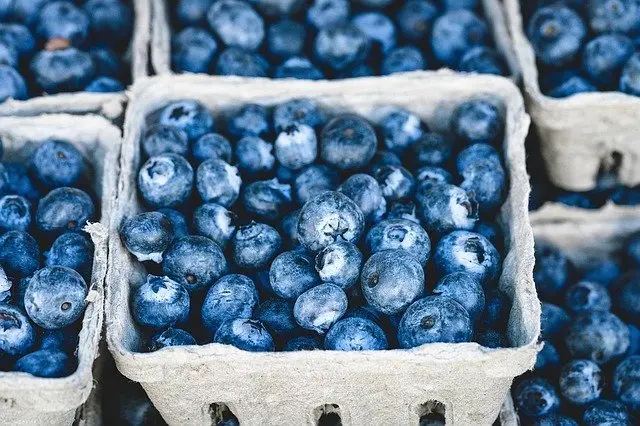 como deshidratar fruta