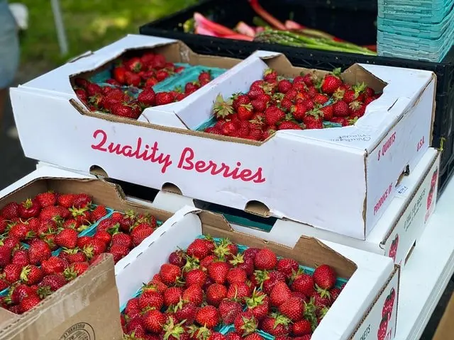 como deshidratar frutas - frutas importación