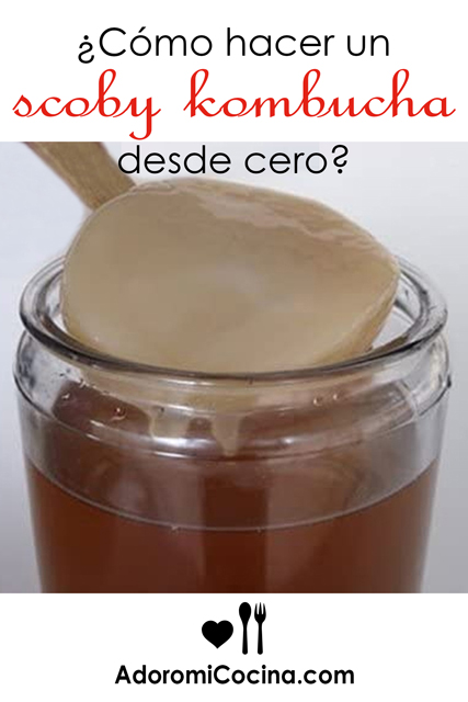 026-hacer-scoby