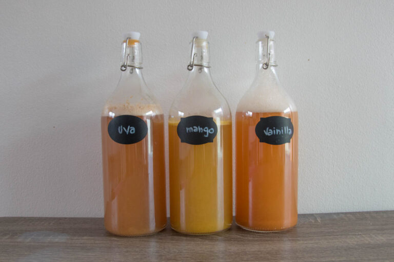 kombucha casera