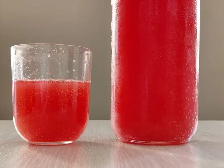 bebida-fermentada-casera