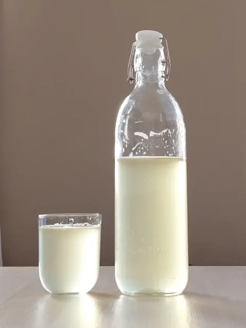 bebidas-con-probioticos-de-romero
