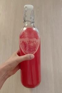 fermento-casero-de-sandia