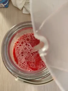 fermento-de-sandia