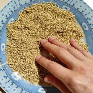 como-hacer-quinoa-tostada