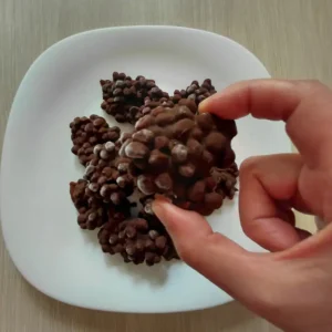 recetas-de-postres-con-granada