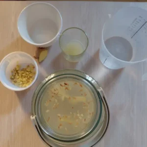 bebida-de-jengibre-y-limon-fermentada