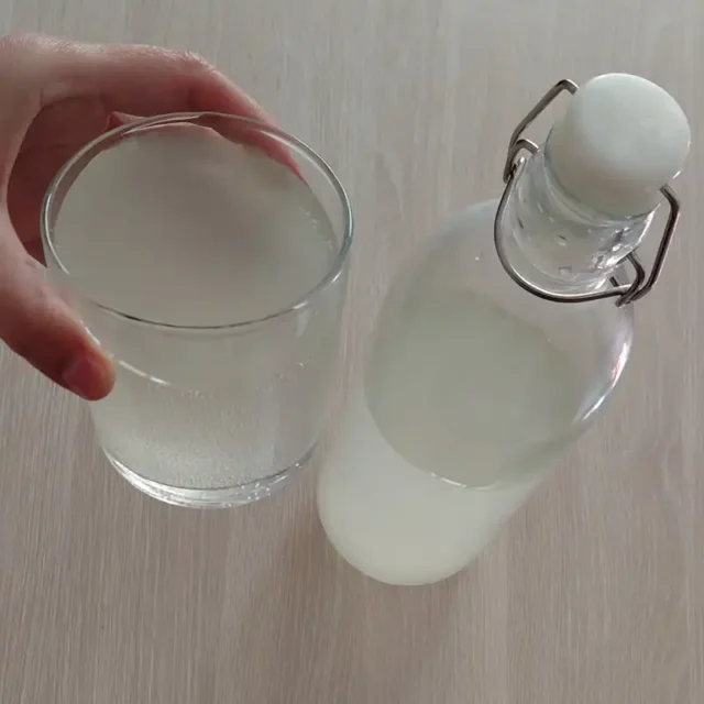 bebida-fermentada-limon-y-jengibre