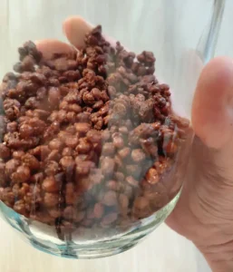 como-se-hace-las-garrapiñadas-de-lentejas