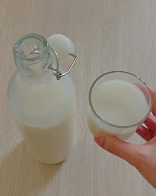 leche-de-avena-casera