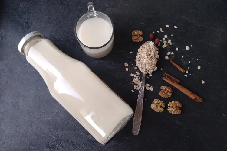 leche-vegetal-casera